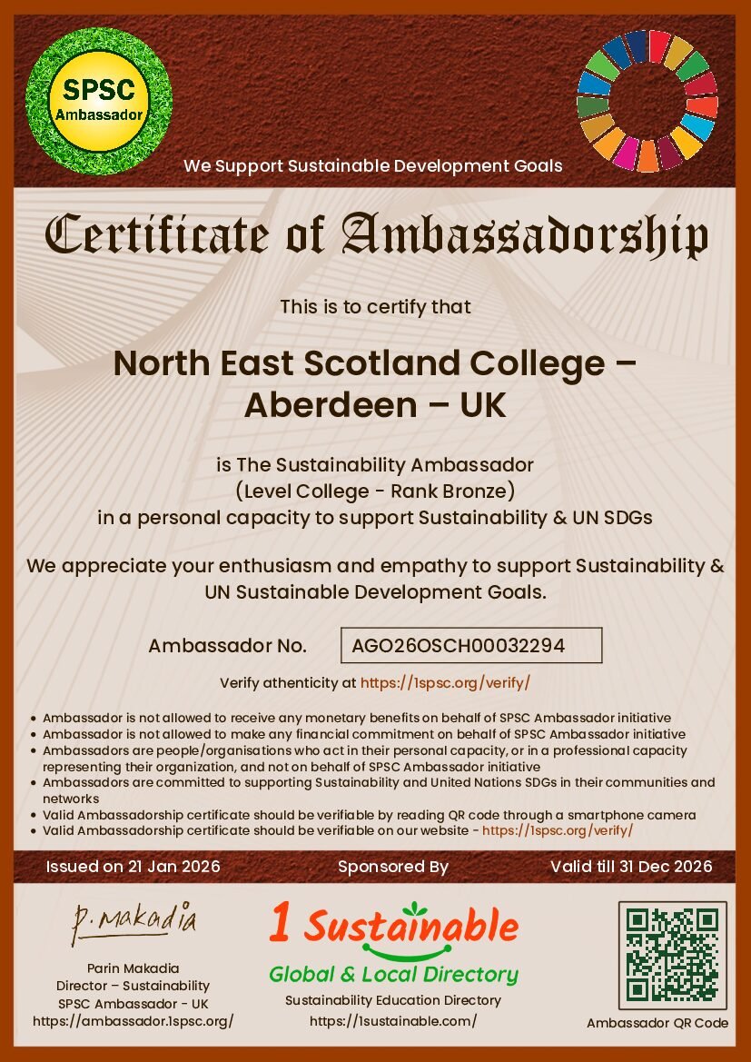 College Bronze Certificate