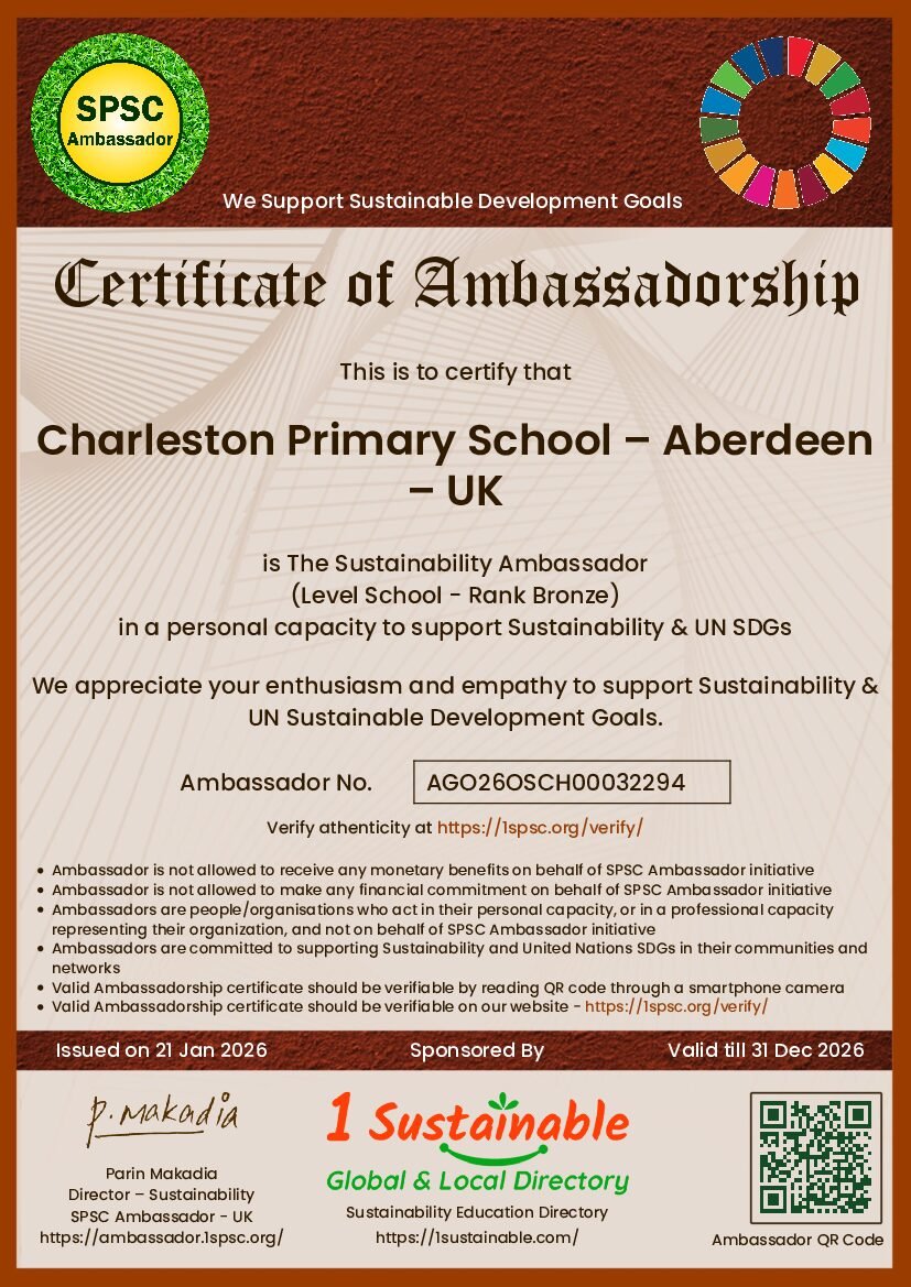 School Bronze Certificate