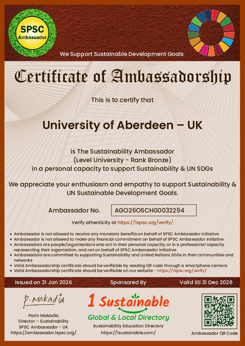 University Certificate Bronze