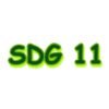 SDG 11