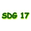 SDG 17